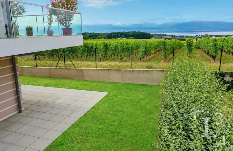 Jardin - Terrasse