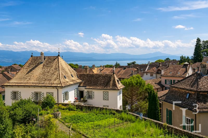 Jardin potager