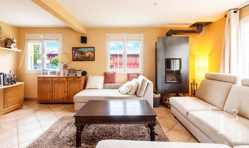 Séjour avec cheminée