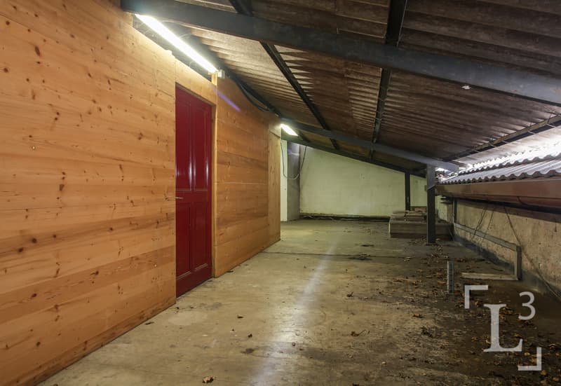 Lot 3 : Local multifonction
