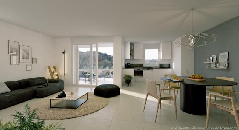 Spacieux appartement de 4.5 pièces en attique avec balcon de 30 m2 et au bord de la Gérine (1)