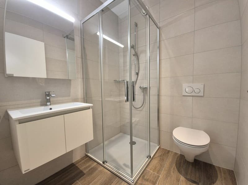 Prairie 4 - 4,5-Zimmer-Wohnung im 3. Stock (9)