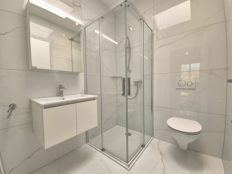 Prairie 4 - Appartement 3.5 pièces en attique (9)