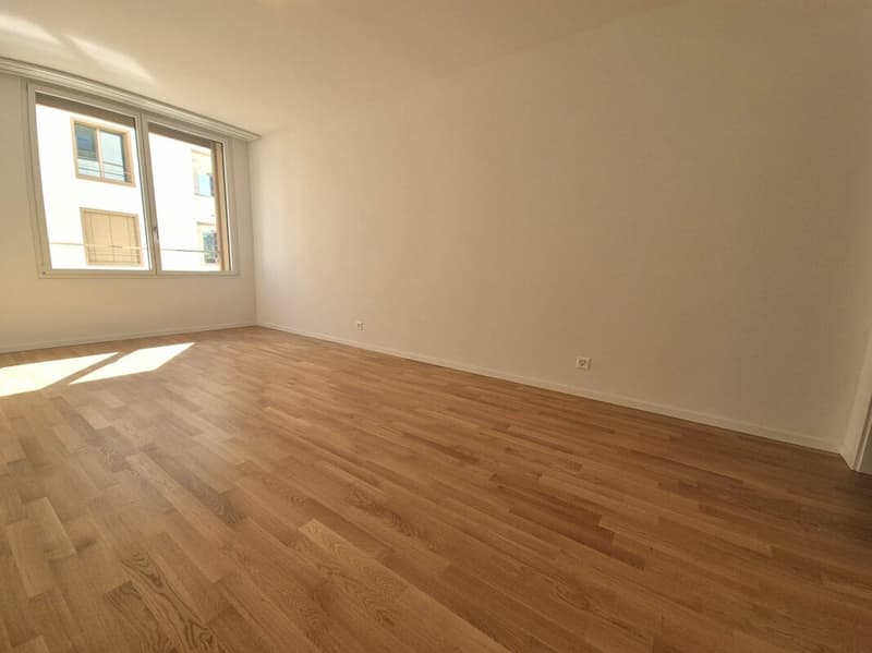 Prairie 2 - 4.5-room apartment on the top floor (8)