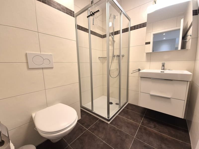 Grandcour - Furnished 2.5-room apartment on the ground floor (7)
