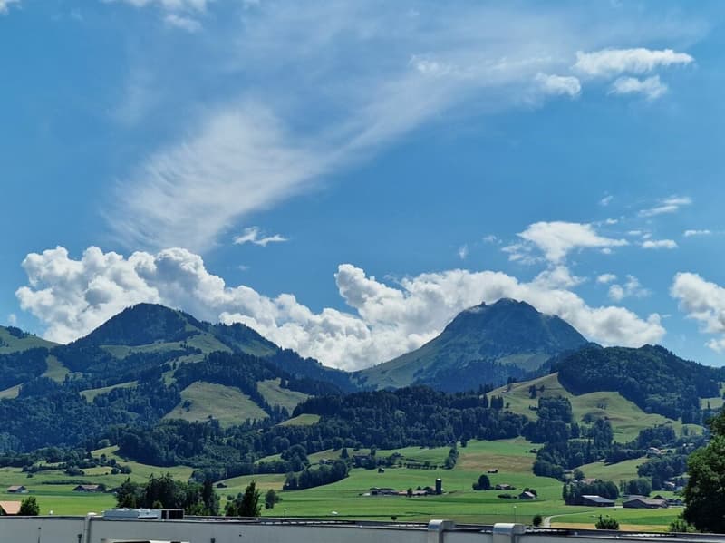 La Tour-de-Trême - Verwaltungsfläche von 400 m2 im 1. Stock (2)
