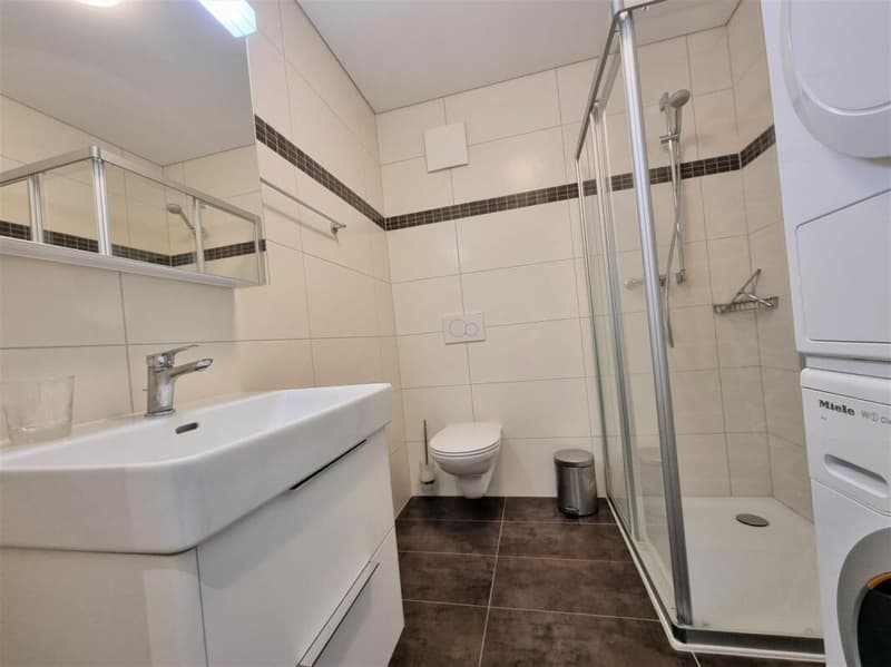 Grandcour - Furnished 3.5-room apartment on the top floor (8)