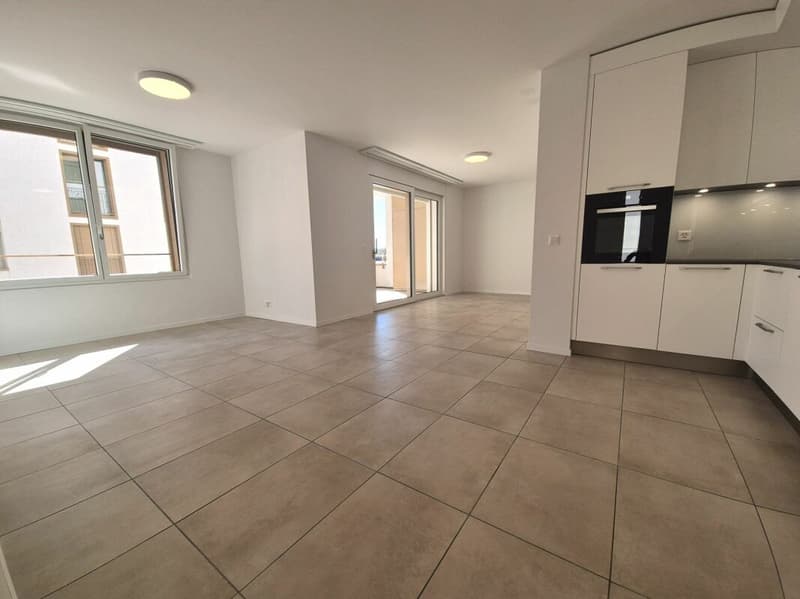 Prairie 2 - Appartement 4.5 pièces au dernier étage (1)