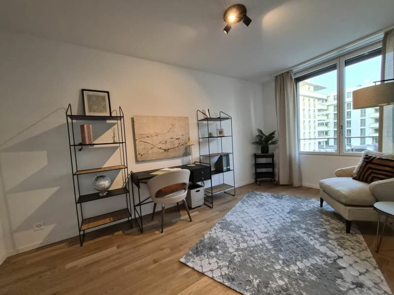 Prairie 4 - Appartement 5.5 pièces en attique (5)