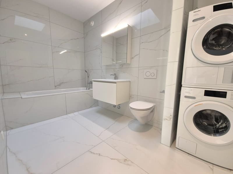 Prairie 5 - Appartement 4.5 pièces en attique (7)