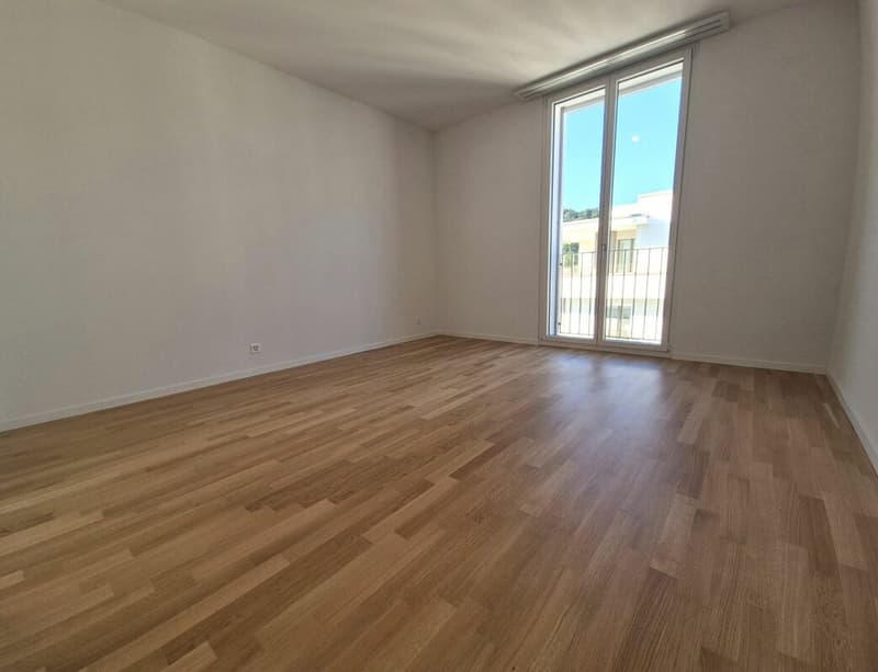 Prairie 5 - Appartement 4.5 pièces en attique (4)