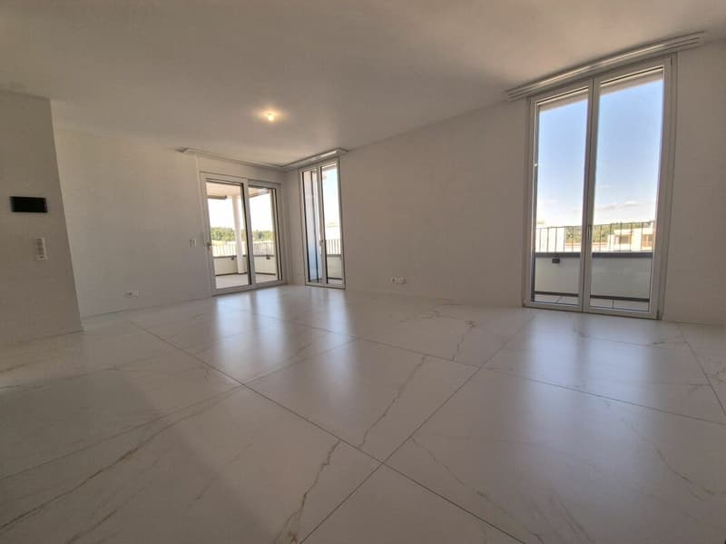 Prairie 5 - Appartement 4.5 pièces en attique (2)