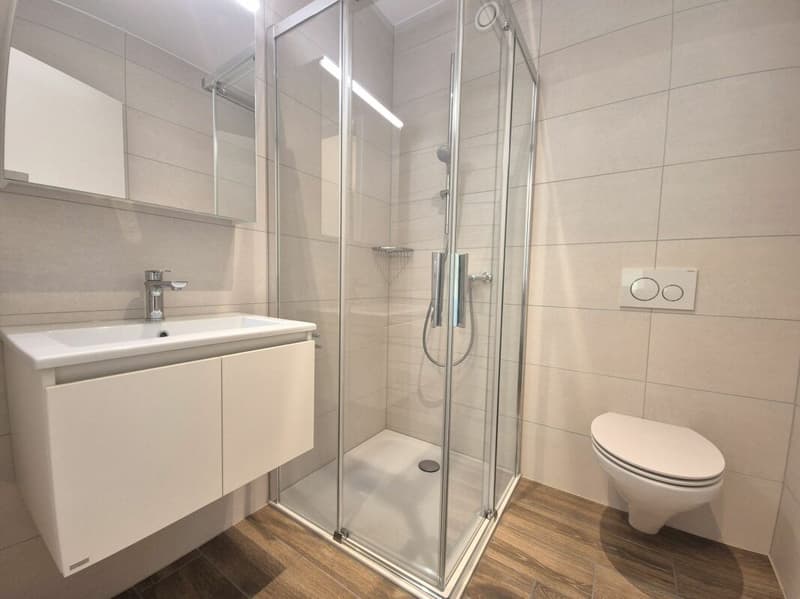 Prairie 4 - Appartement 4.5 pièces au 3ème étage (8)