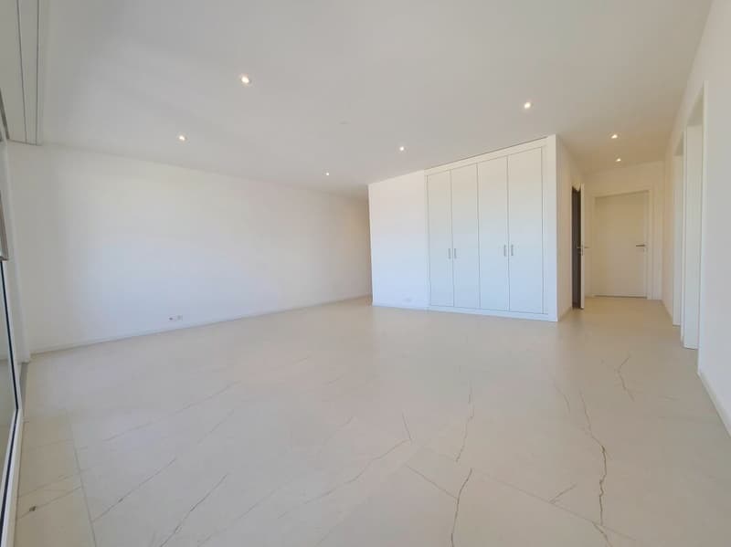 Plugin 4 - Appartement 4.5 pièces au 13ème étage (7)