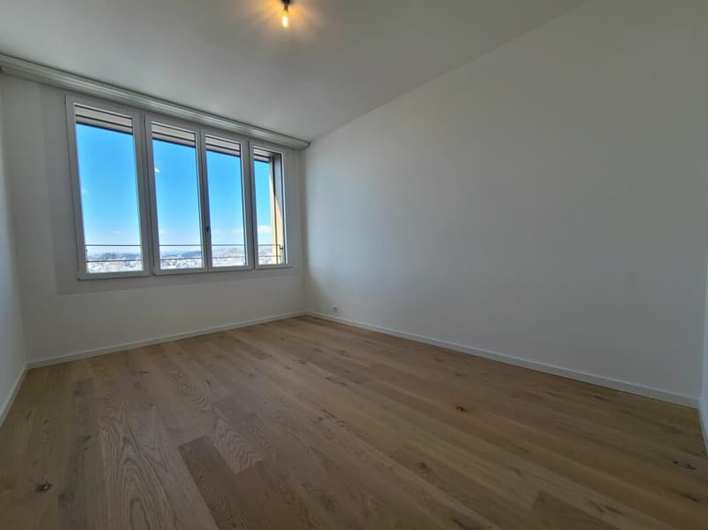 Plugin 4 - Appartement 4.5 pièces au 13ème étage (12)