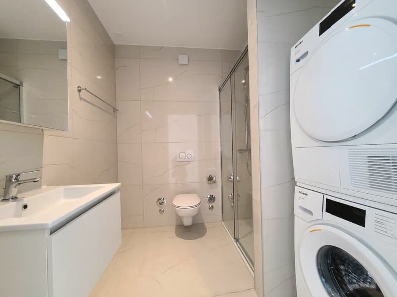 Plugin 4 - Appartement 4.5 pièces au 13ème étage (11)