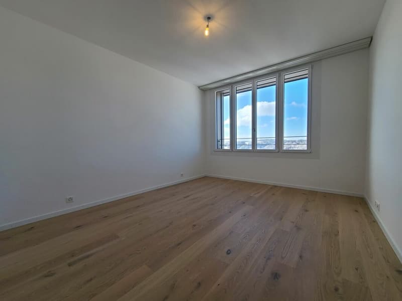 Plugin 4 - Appartement 4.5 pièces au 13ème étage (8)