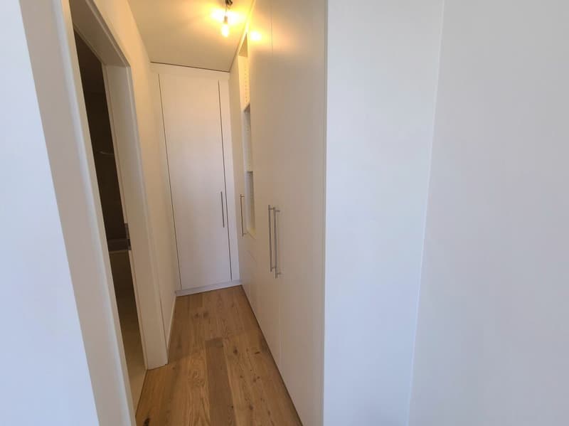 Plugin 4 - Appartement 4.5 pièces au 13ème étage (13)