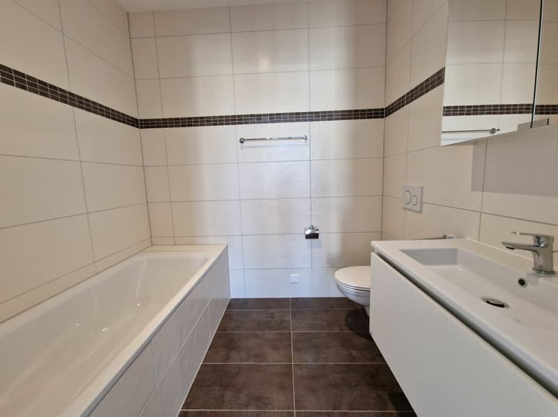Moulins G - Appartement 3.5 pièces au 4ème étage (5)