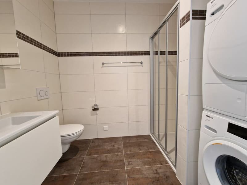 Moulins G - Appartement 3.5 pièces au 4ème étage (7)