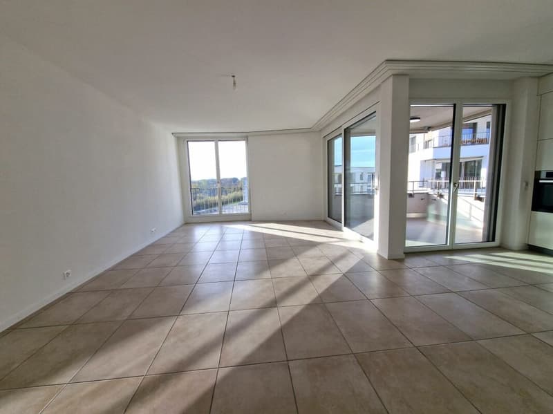 Moulins G - Appartement 3.5 pièces au 4ème étage (3)