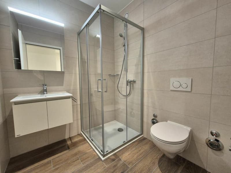 Berges 3 - Appartement 4.5 pièces au 1er étage (10)