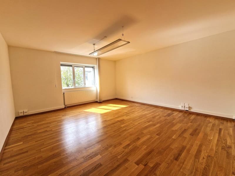 Spacieux appartement de 5.5 pièces (5)