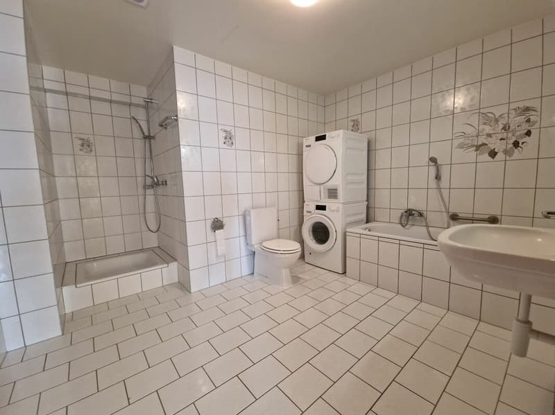 Spacieux appartement de 5.5 pièces (11)