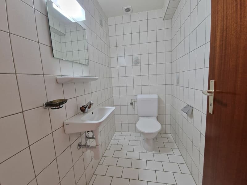 Spacieux appartement de 5.5 pièces (12)