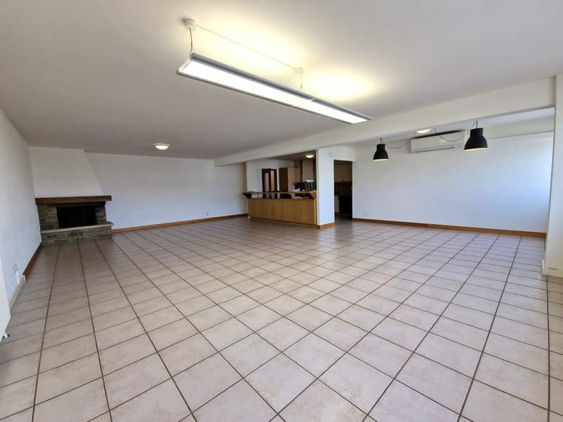 Spacieux appartement de 5.5 pièces (1)