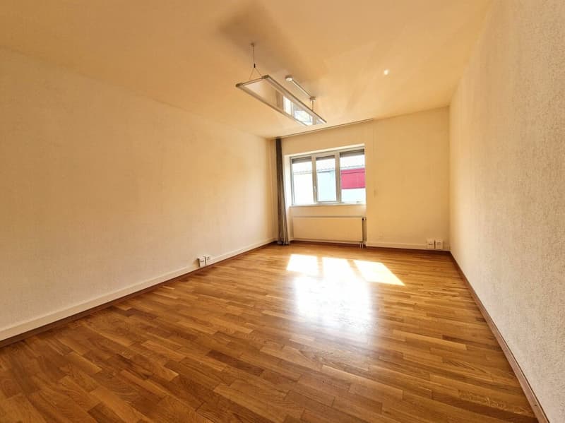 Spacieux appartement de 5.5 pièces (6)