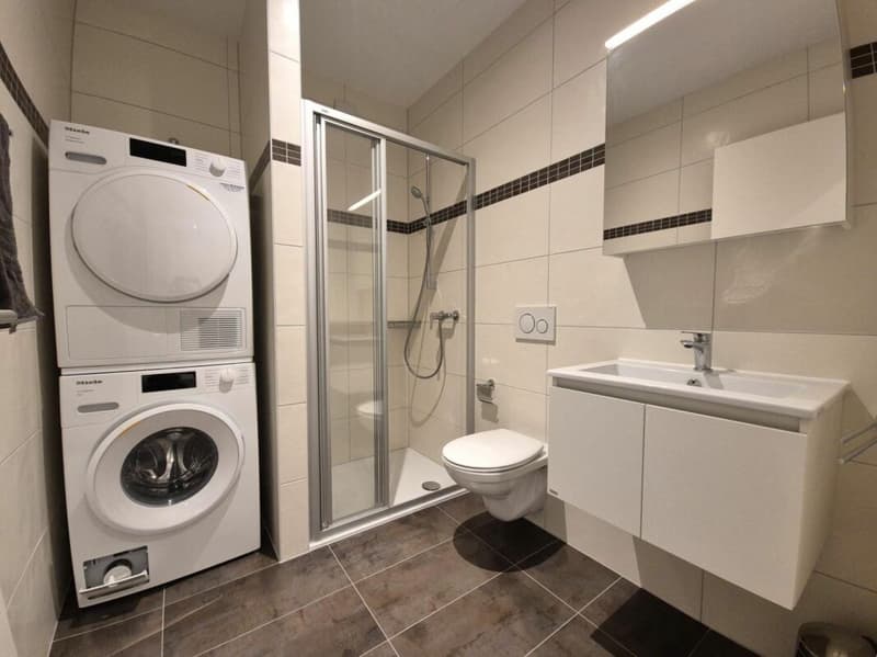 Plugin 4 - Appartement 3.5 pièces en duplex (12)