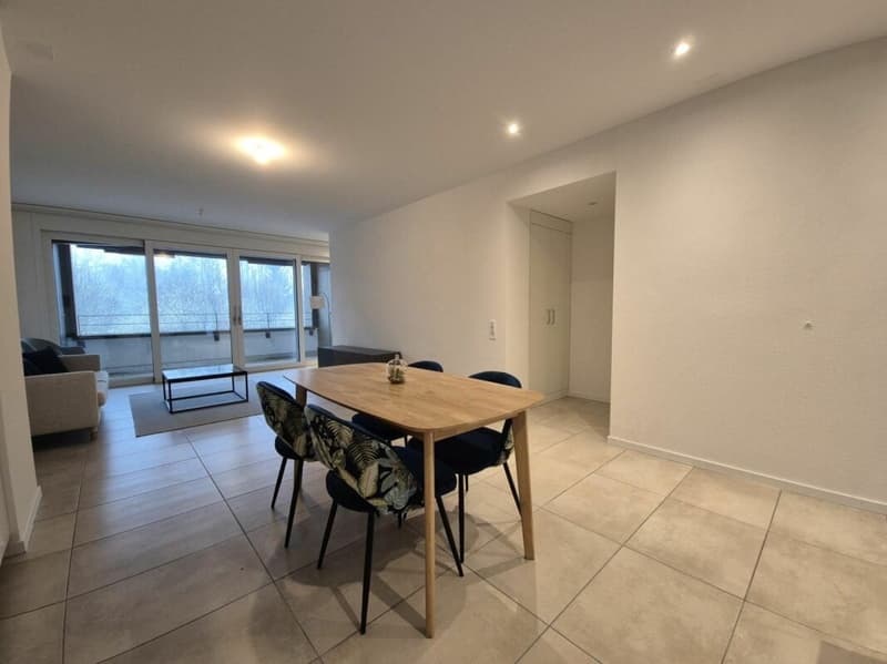 Plugin 4 - Appartement 3.5 pièces en duplex (3)