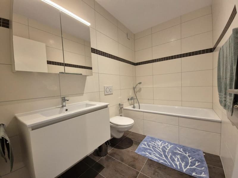 Plugin 4 - Appartement 3.5 pièces en duplex (14)