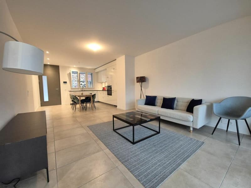 Plugin 4 - Appartement 3.5 pièces en duplex (6)