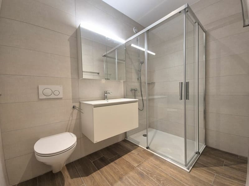 Berges 3 - Appartement 2.5 pièces au 3ème étage (7)