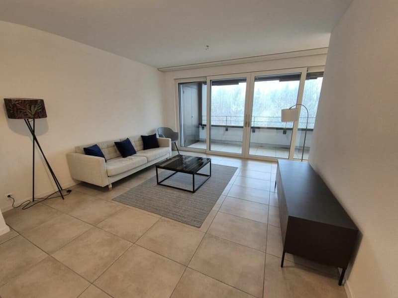 Plugin 4 - Appartement 3.5 pièces en duplex (4)