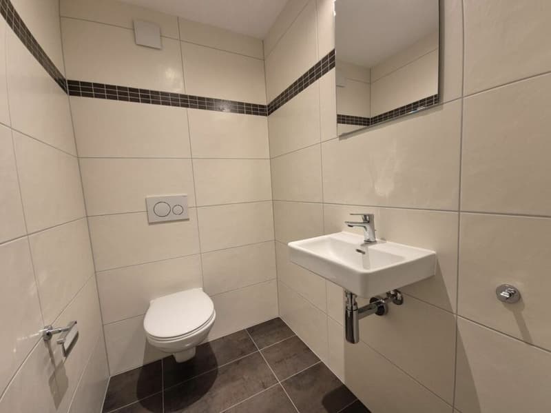 Plugin 4 - Appartement 3.5 pièces en duplex (7)