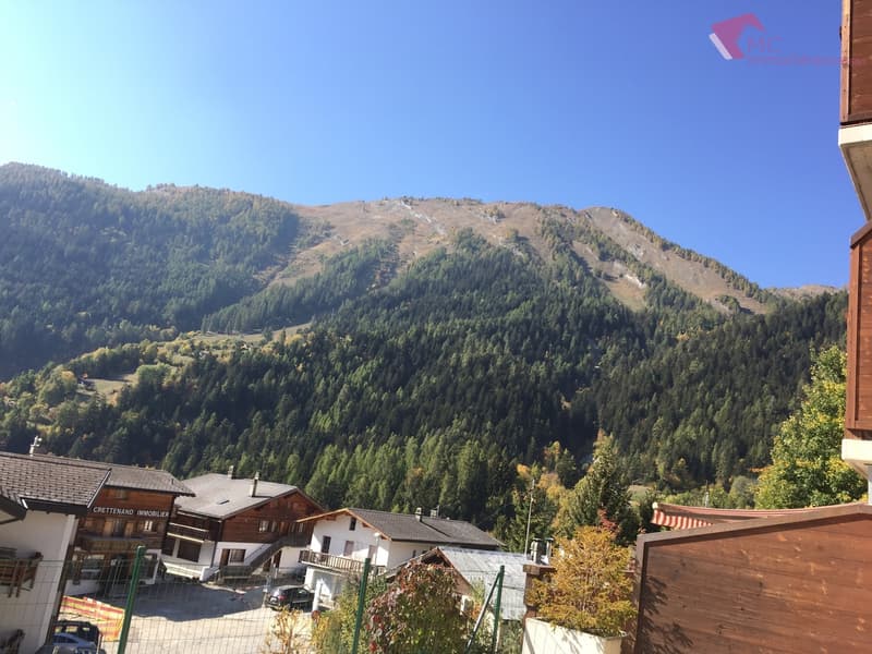 Ovronnaz - Appartamento 3.5 locali con grande terrazza (4)
