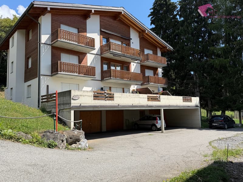 Ovronnaz - Appartement 2,5 pces, terrasse, tranquillité et fraîcheur (10)
