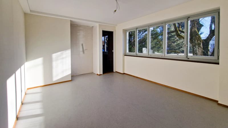 Duplex 6,5 pcs avec splendide jardin et terrasses dans Villa d'architecte intégralement rénovée, à 300 m. de la gare du LEB à Bercher (10)