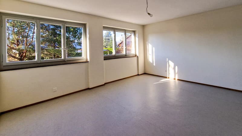 Duplex 6,5 pcs avec splendide jardin et terrasses dans Villa d'architecte intégralement rénovée, à 300 m. de la gare du LEB à Bercher (12)
