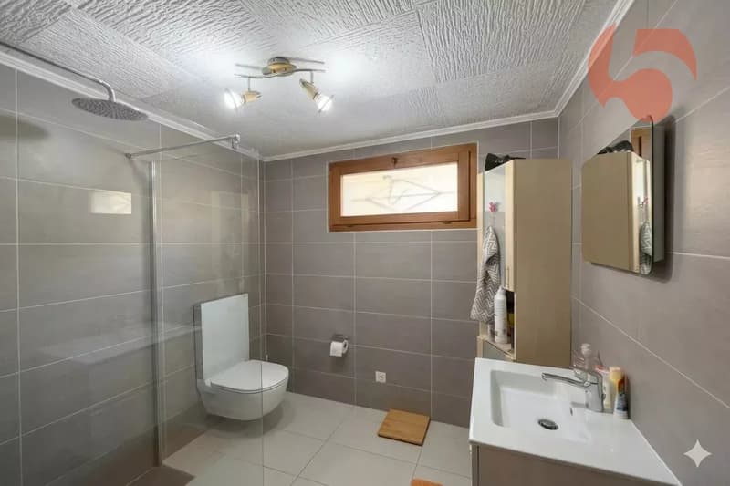 Magnificent 6.5-room villa with workshop and large garage (8)