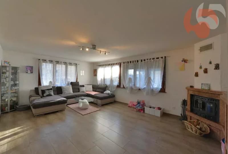 Magnificent 6.5-room villa with workshop and large garage (3)