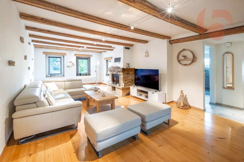 Prächtiges vollständig renoviertes Dorfhaus (5)