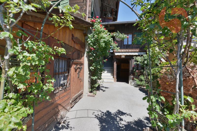 Echtes Dorfhaus mit großem Potenzial, Garage und Keller (2)