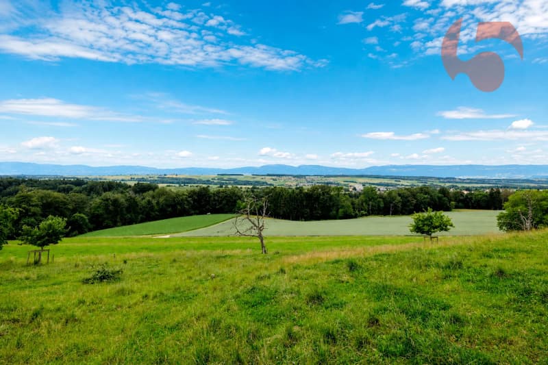 Magnifique villa de 4.5 pièces avec vue panoramique sur le Jura et la campagne environnante (4)