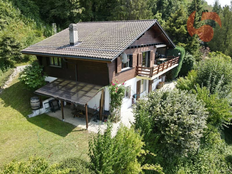 Chalet familial avec vue imprenable à Blonay-Saint-Légier (2)