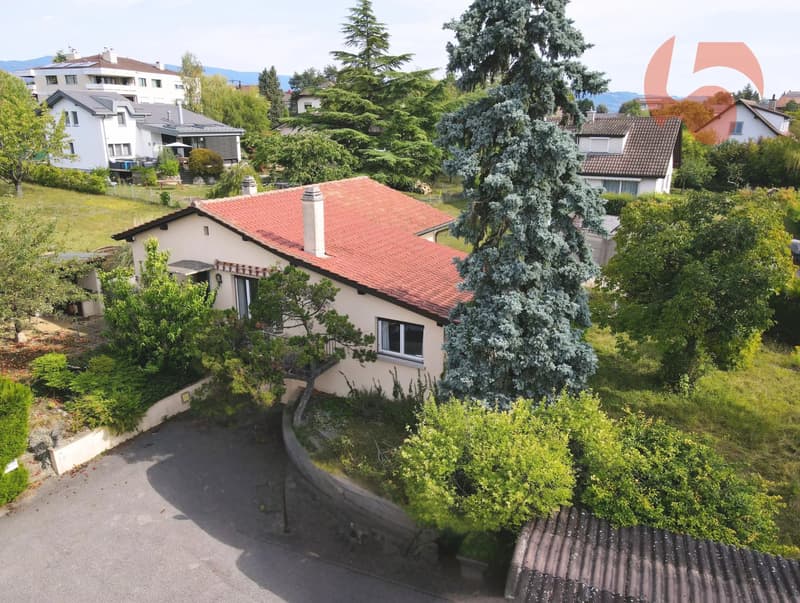 A 350 m du coeur de Prangins, une maison à réinventer sur une magnifique parcelle arborisée (1)