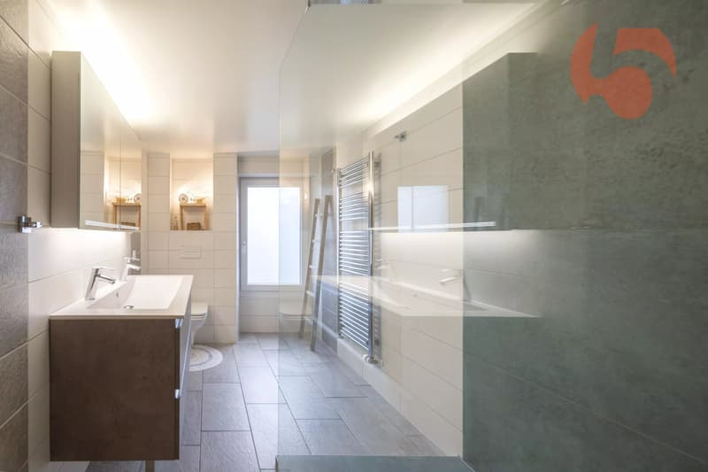 Magnifique maison villageoise entièrement rénovée (10)
